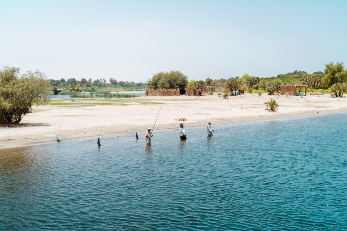 Égypte ©Maxime Moreau 