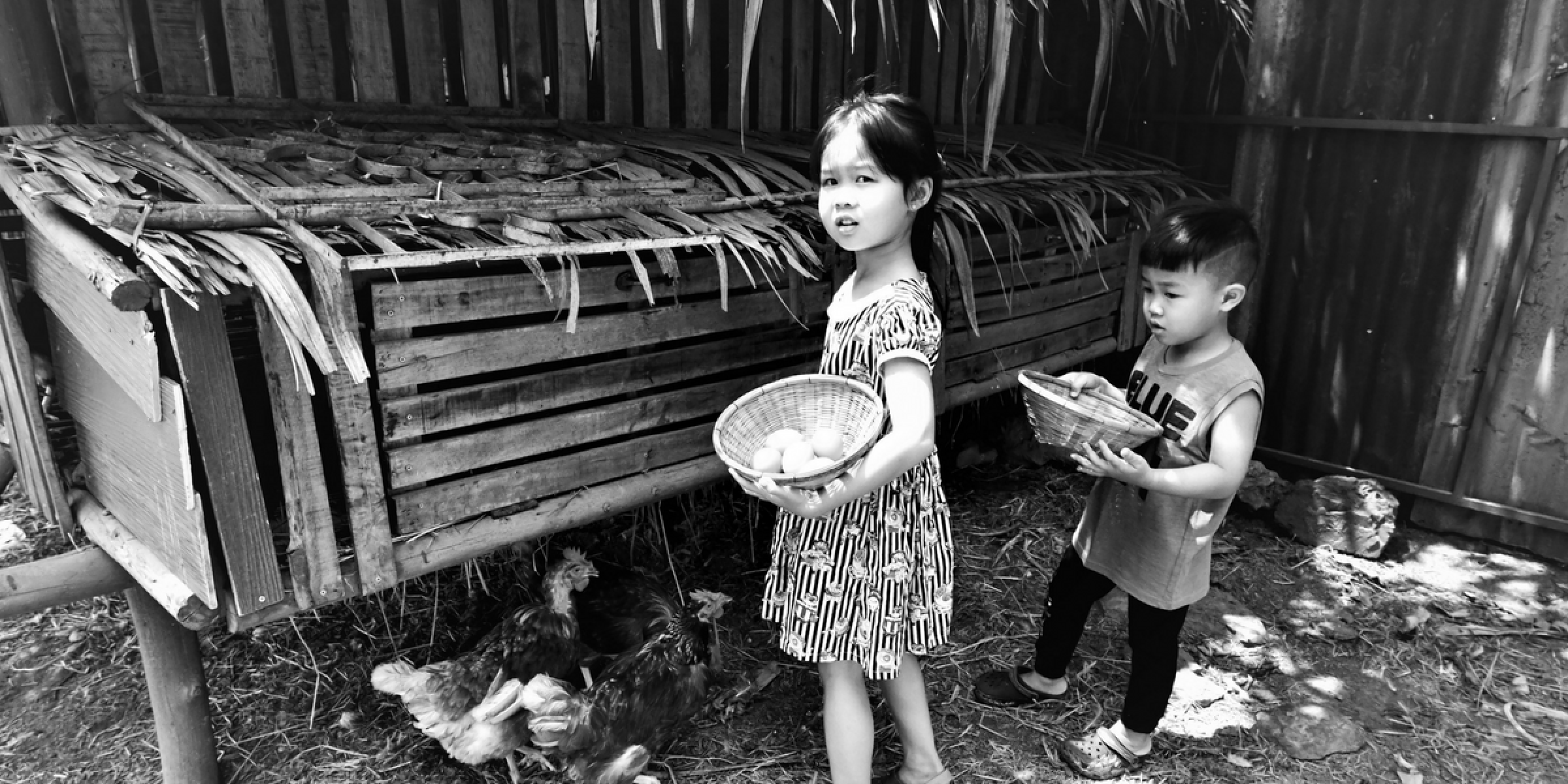 Un séjour à la rencontre des locaux ! 