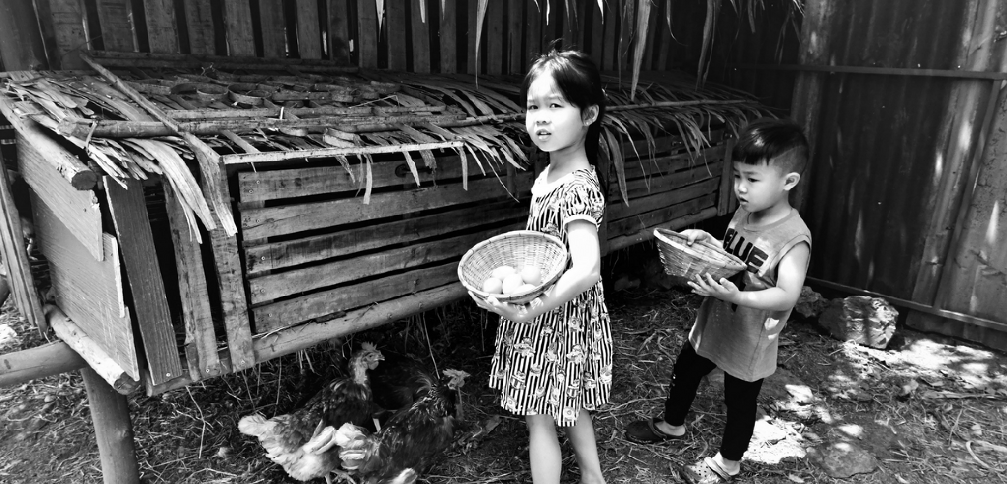 Un séjour à la rencontre des locaux !