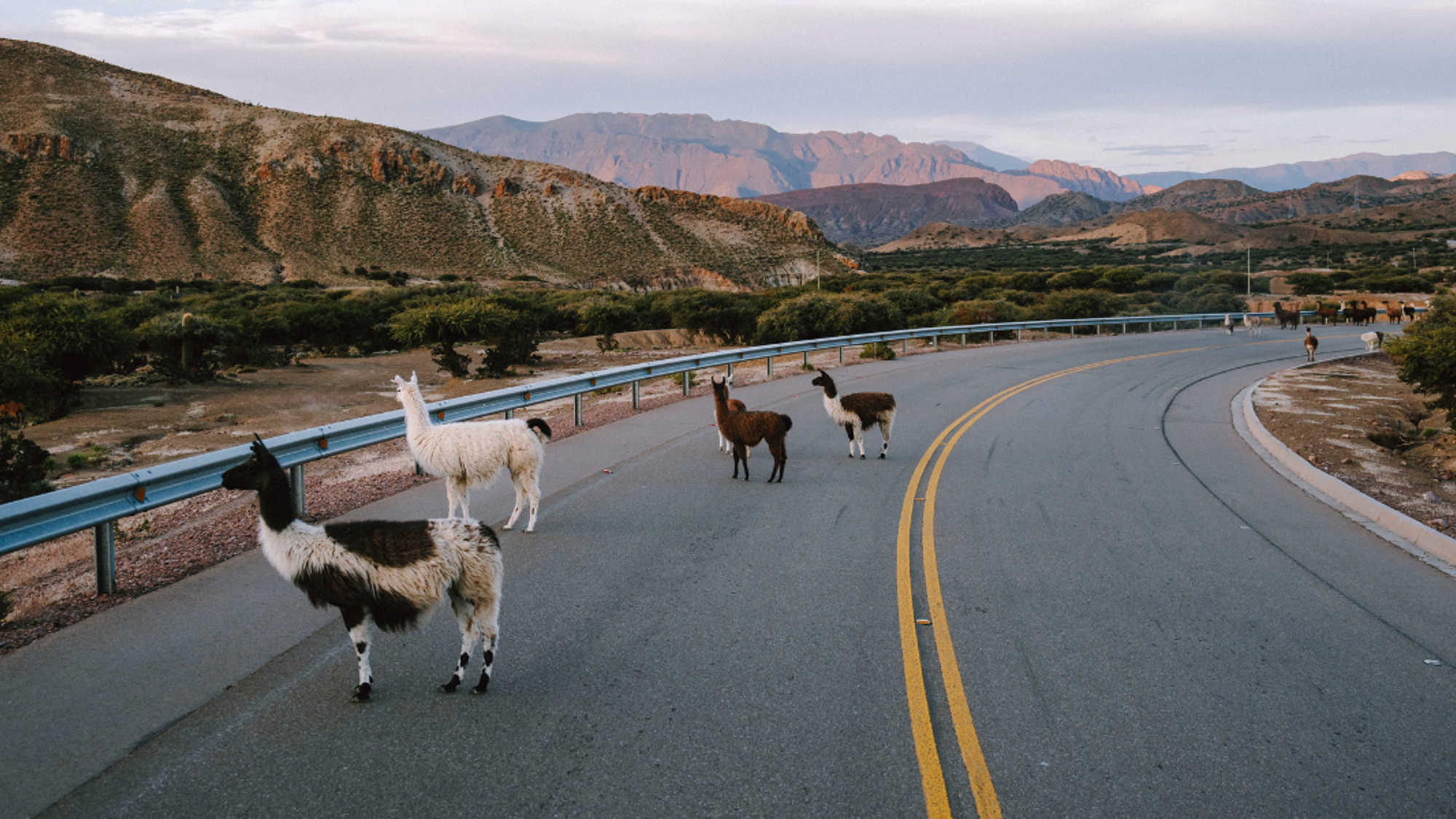 Les rencontres au fil de la route