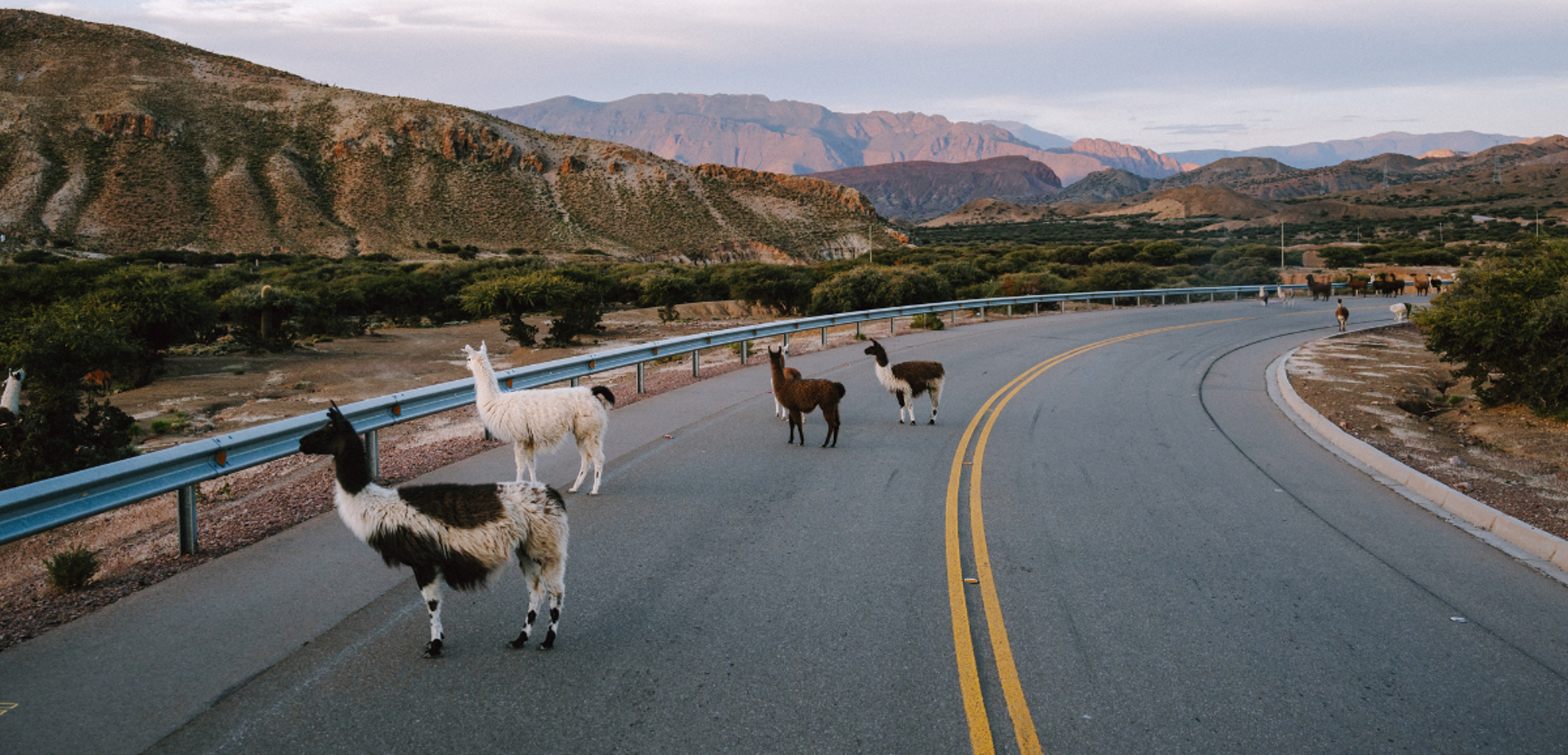 Les rencontres au fil de la route