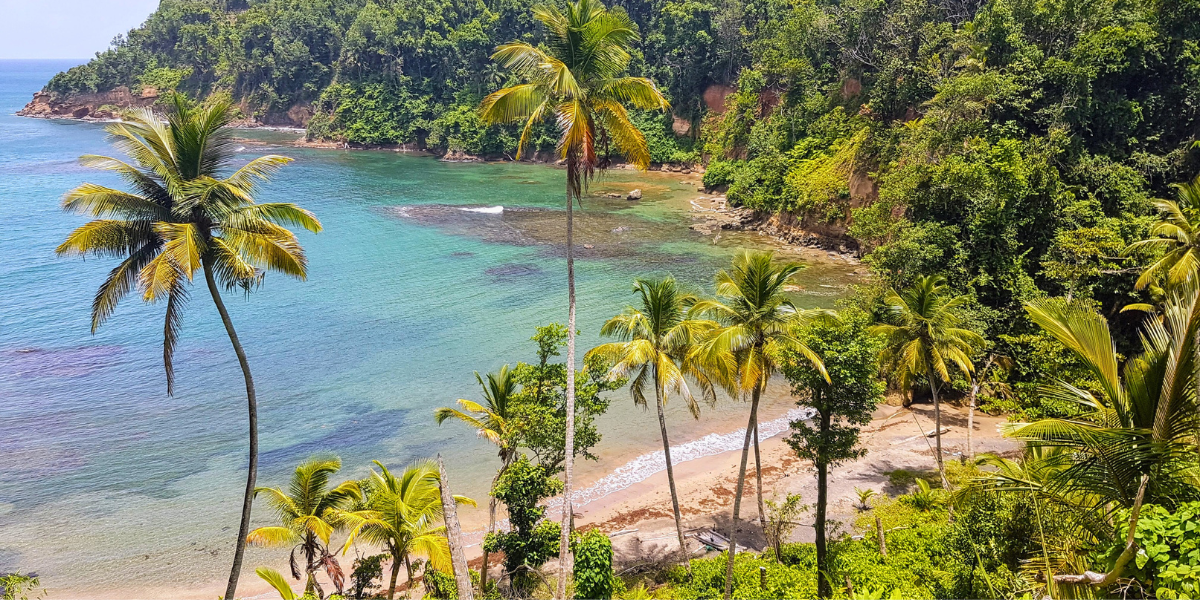 Bienvenue sur l'île de la Dominique ! 