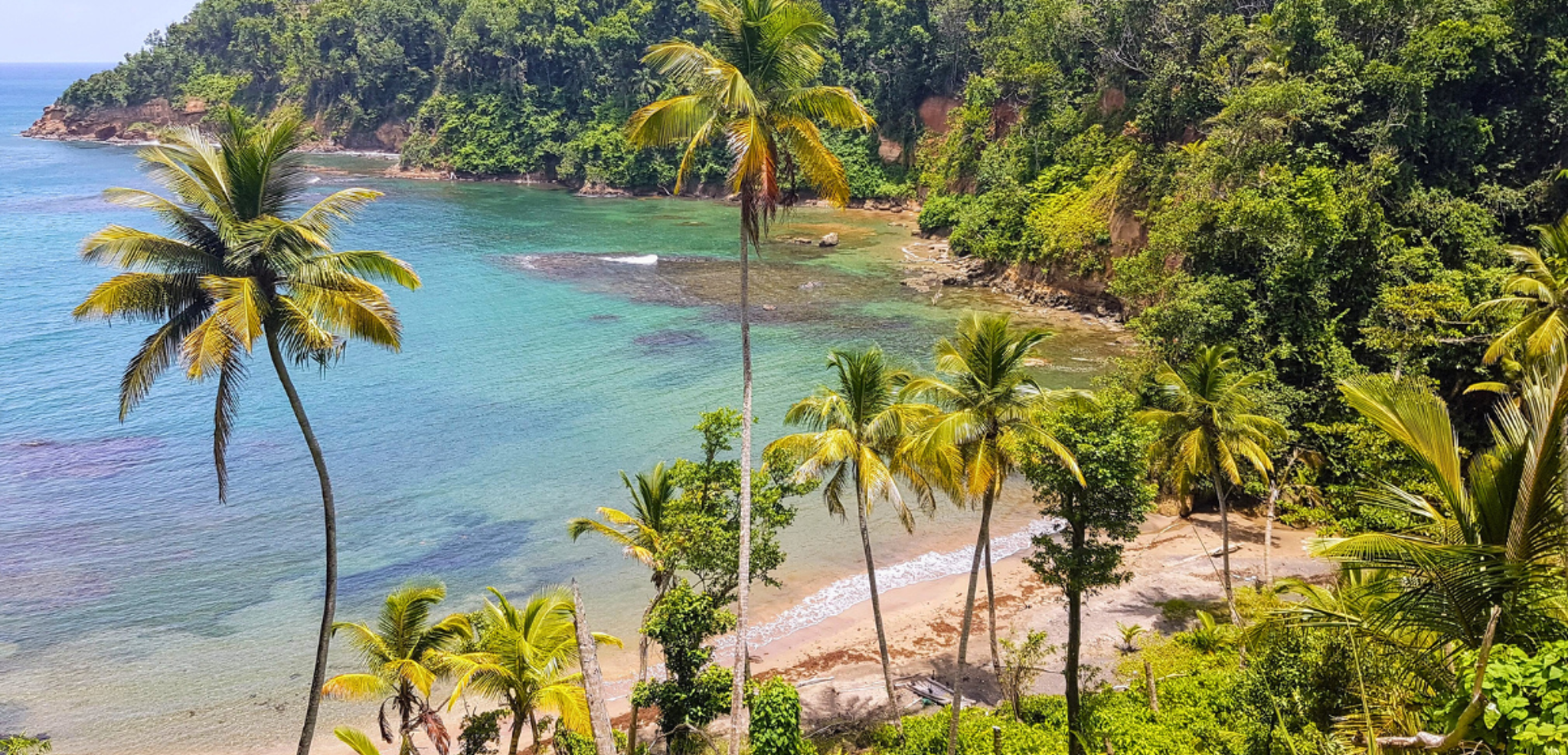 Bienvenue sur l'île de la Dominique !