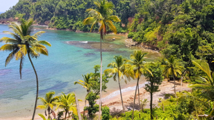 Bienvenue sur l'île de la Dominique !