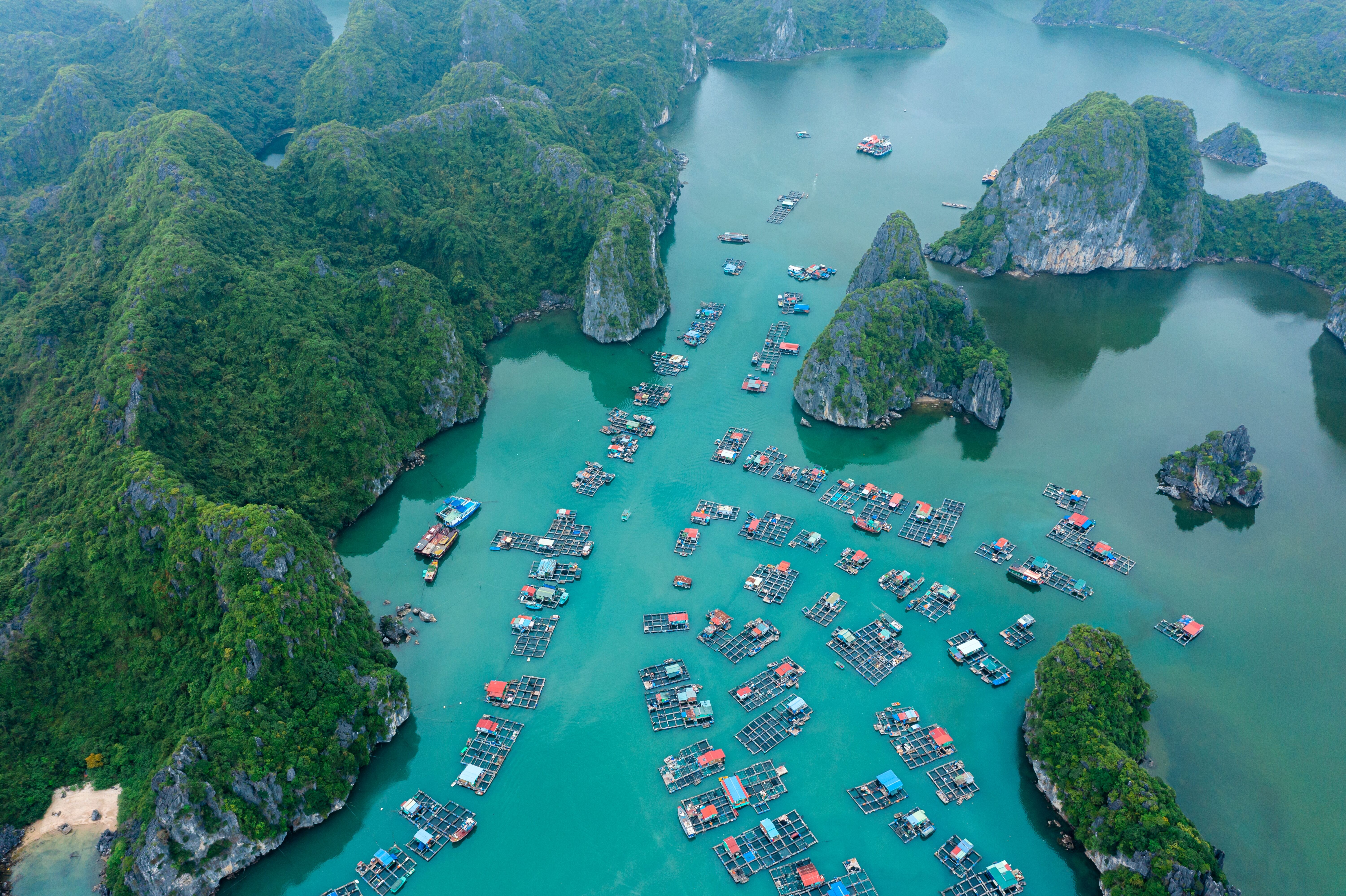Puis cap sur l'île de Cat Ba