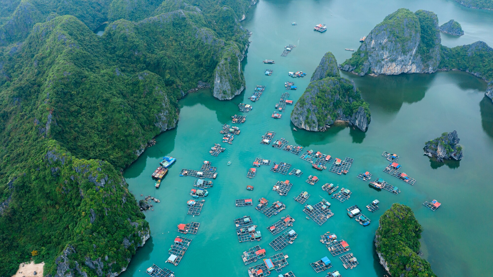 Cap sur l'île de Cat Ba