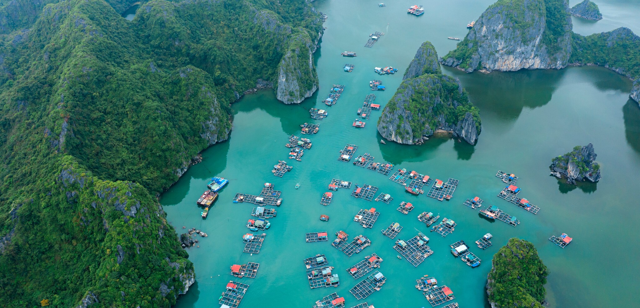 Puis cap sur l'île de Cat Ba