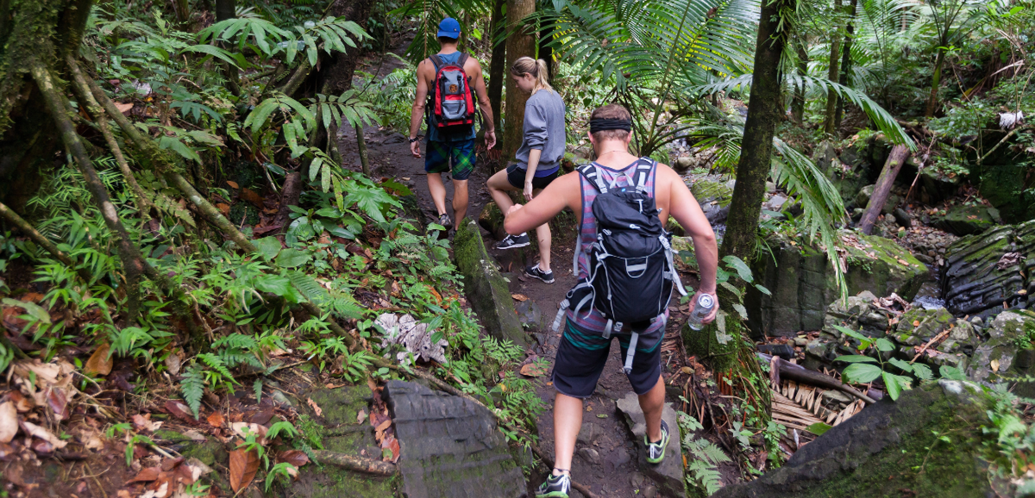 Excursion dans la jungle, Chiapas, Mexique