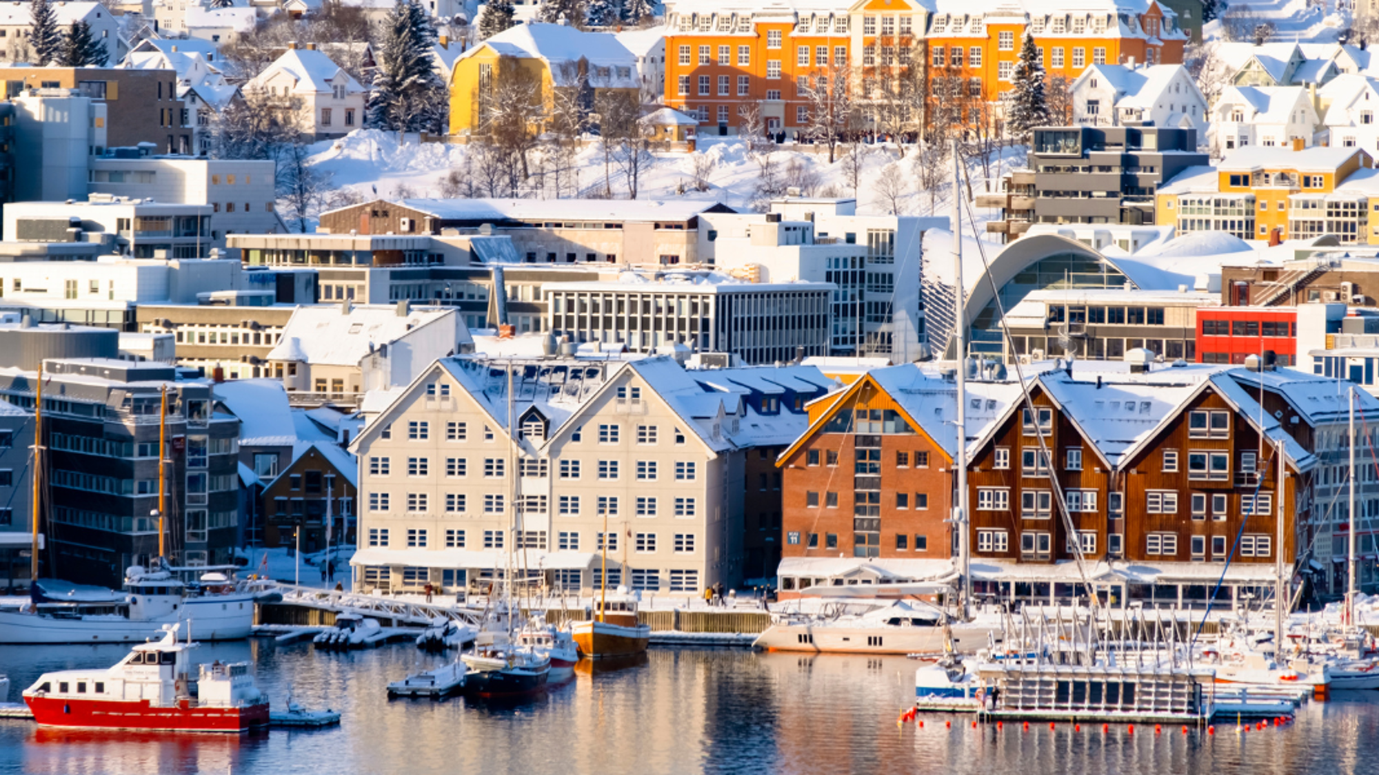 Ton aventure se termine où elle a commencé : Tromsø - Jour 7