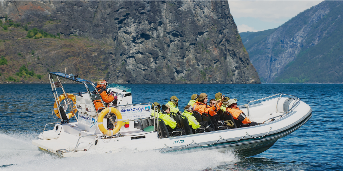 Embarquez pour un safari dans les Fjords à bord d'un zodiac 