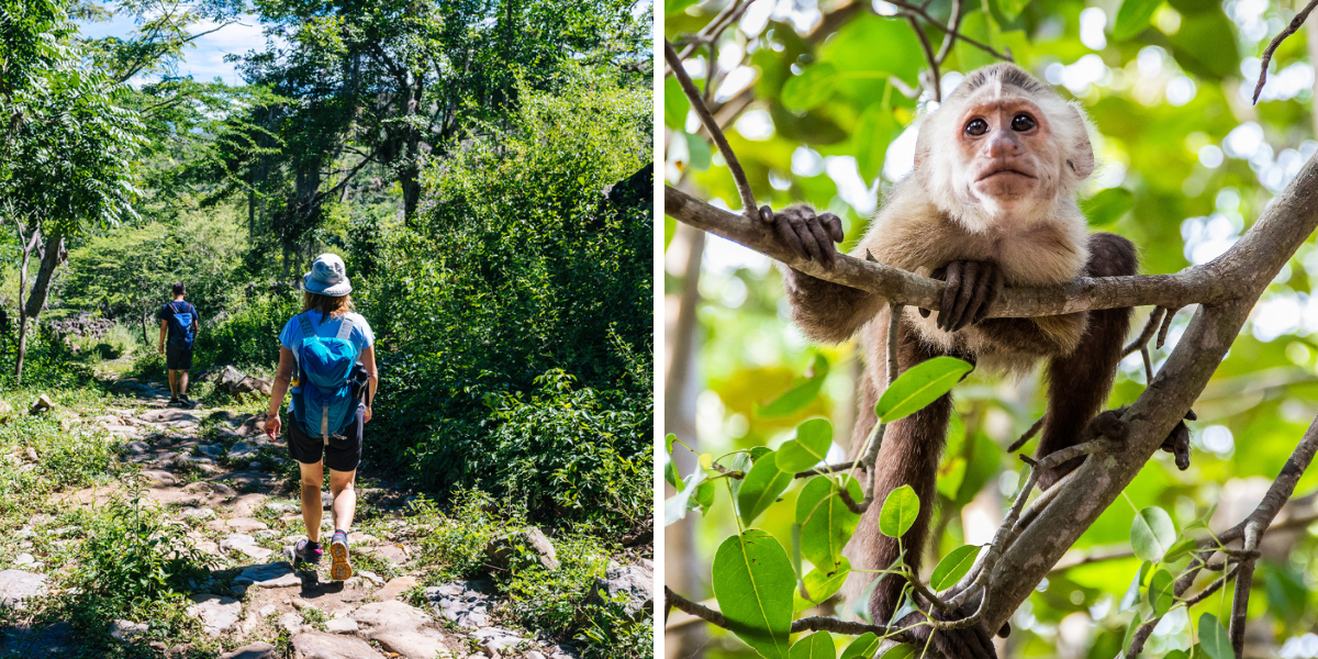 Après un rapide vol intérieur, tu pars à la découverte des caraïbes colombiennes et du Parc Tayrona