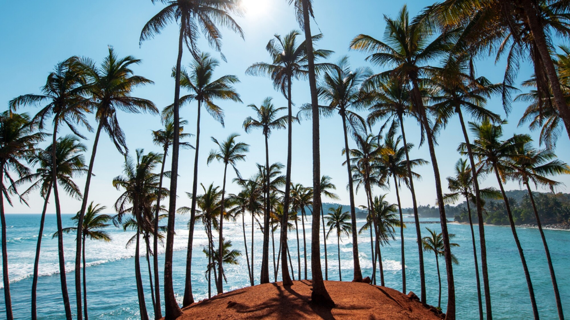 En mode farniente sous les cocotiers (Coconut Hill - Mirissa)