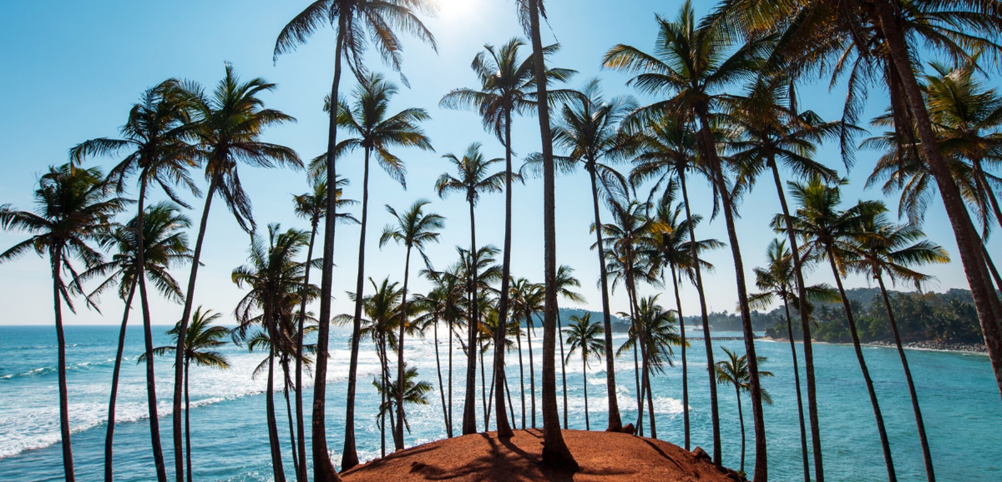 En mode farniente sous les cocotiers (Coconut Hill - Mirissa)