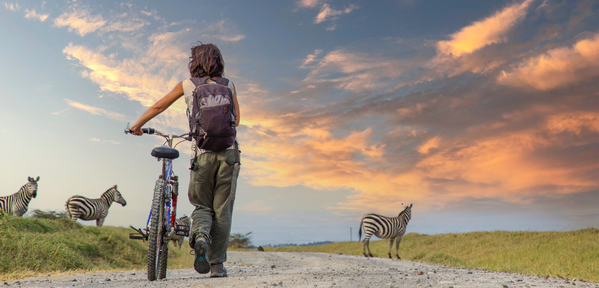 Et de découvertes !