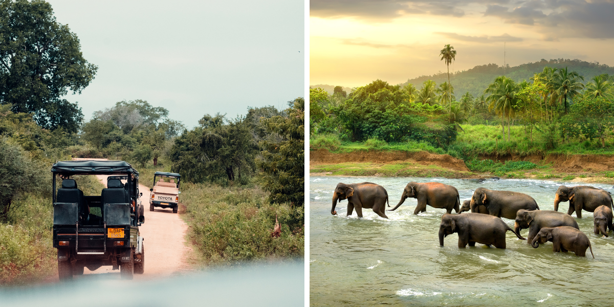 Ouvrez grands les yeux ! 