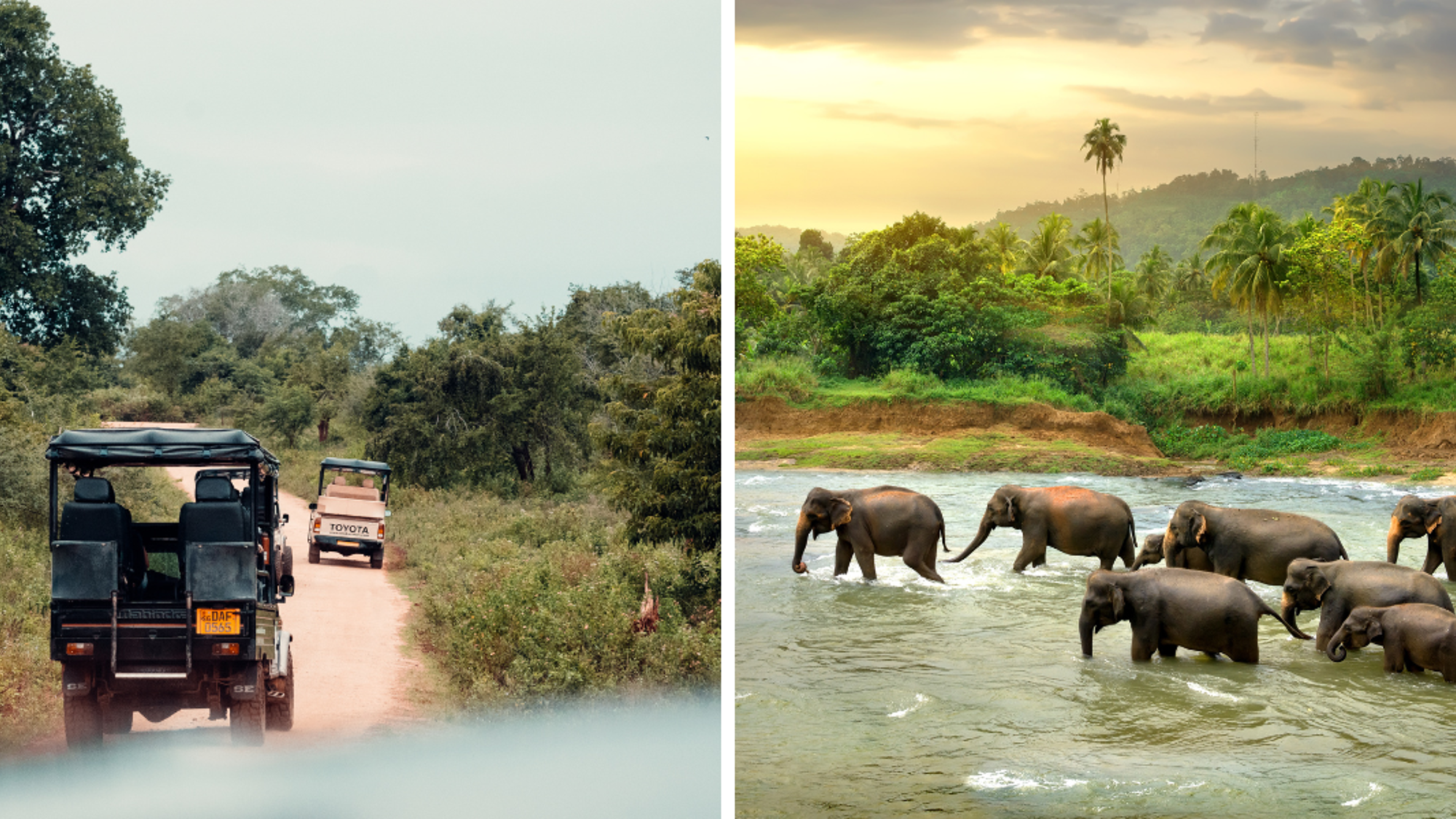 Ouvrez grands les yeux !