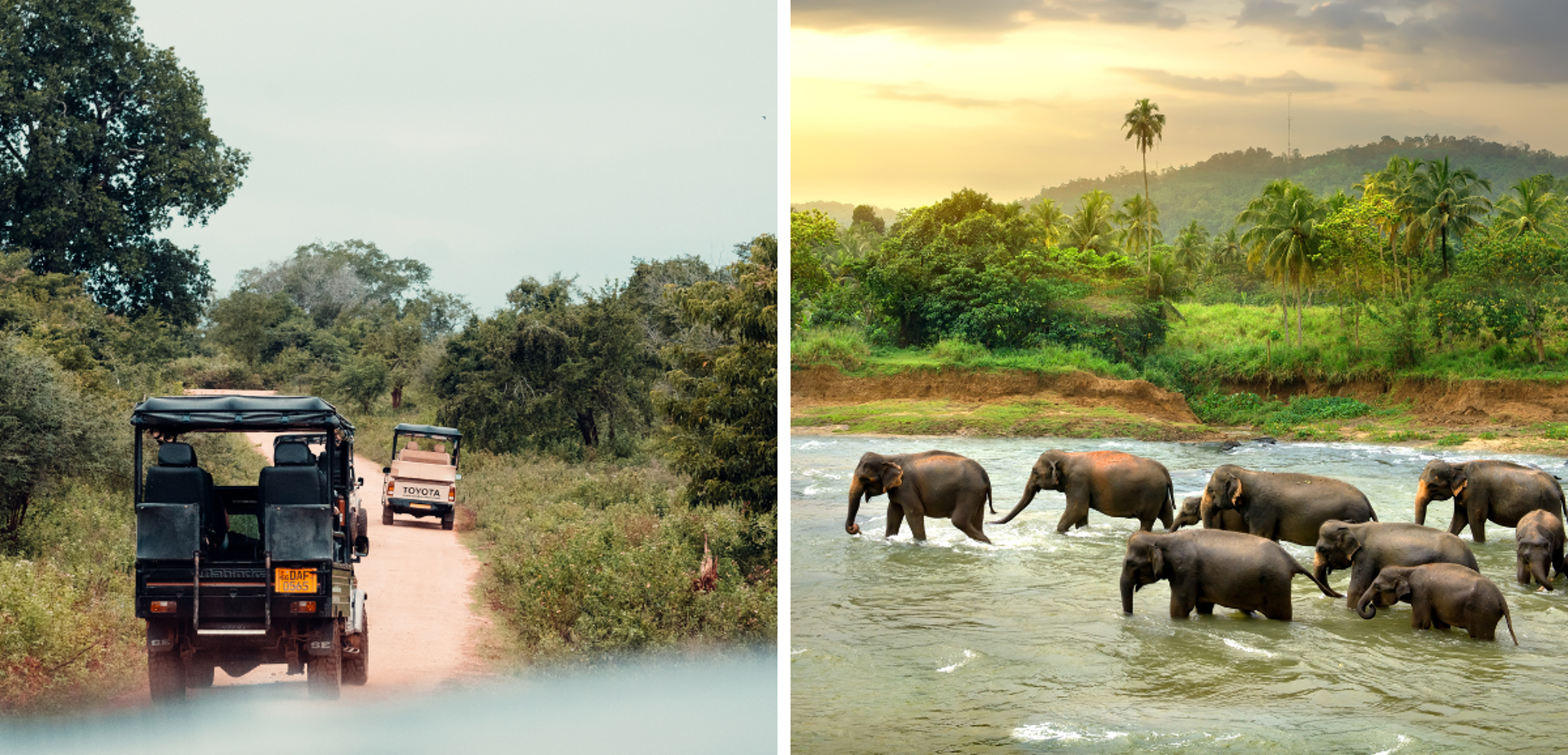 Ouvrez grands les yeux !