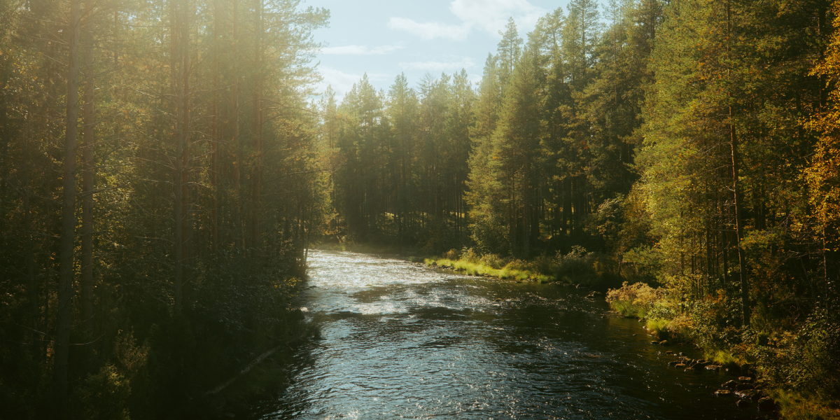 Hossa, Finlande ©koplastudio 