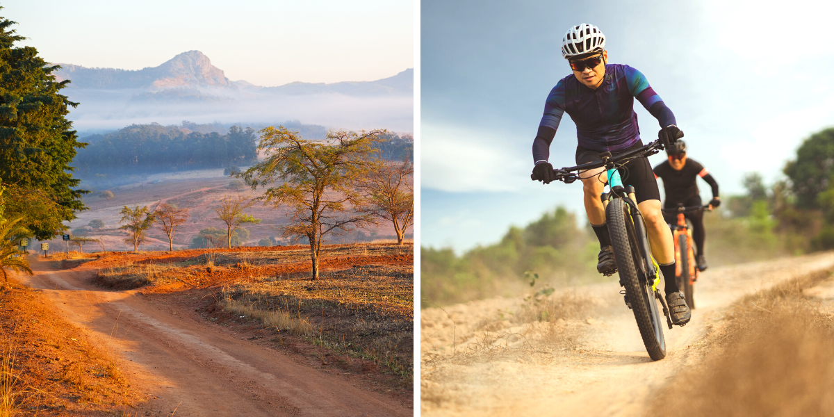 Parcourez les pistes de ce sanctuaire en mountain bikes 