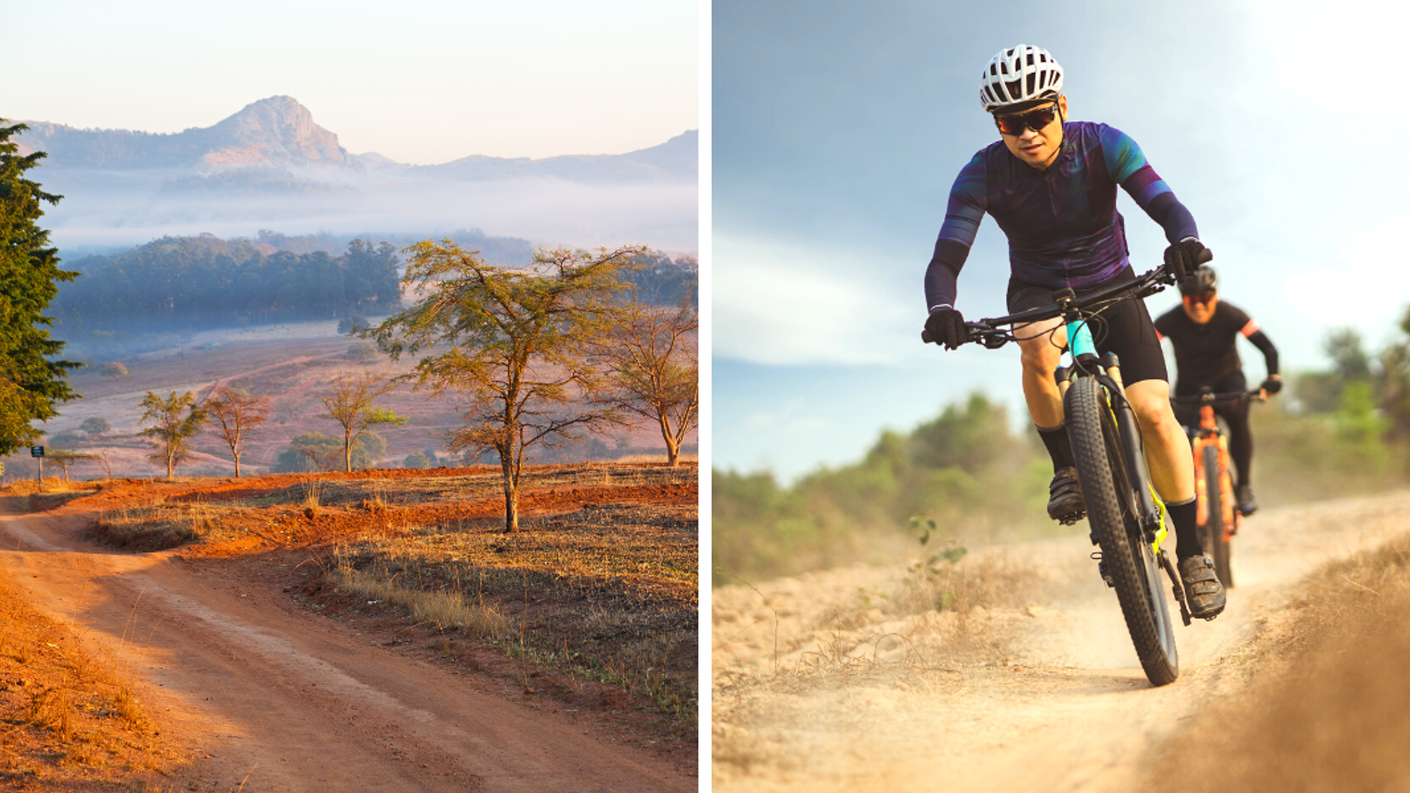 Parcourez les pistes de ce sanctuaire en mountain bikes