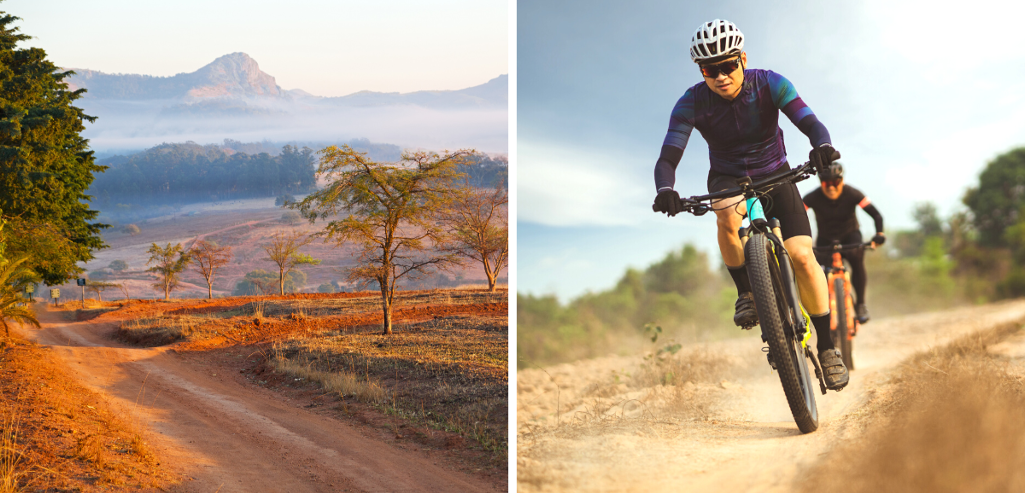 Parcourez les pistes de ce sanctuaire en mountain bikes