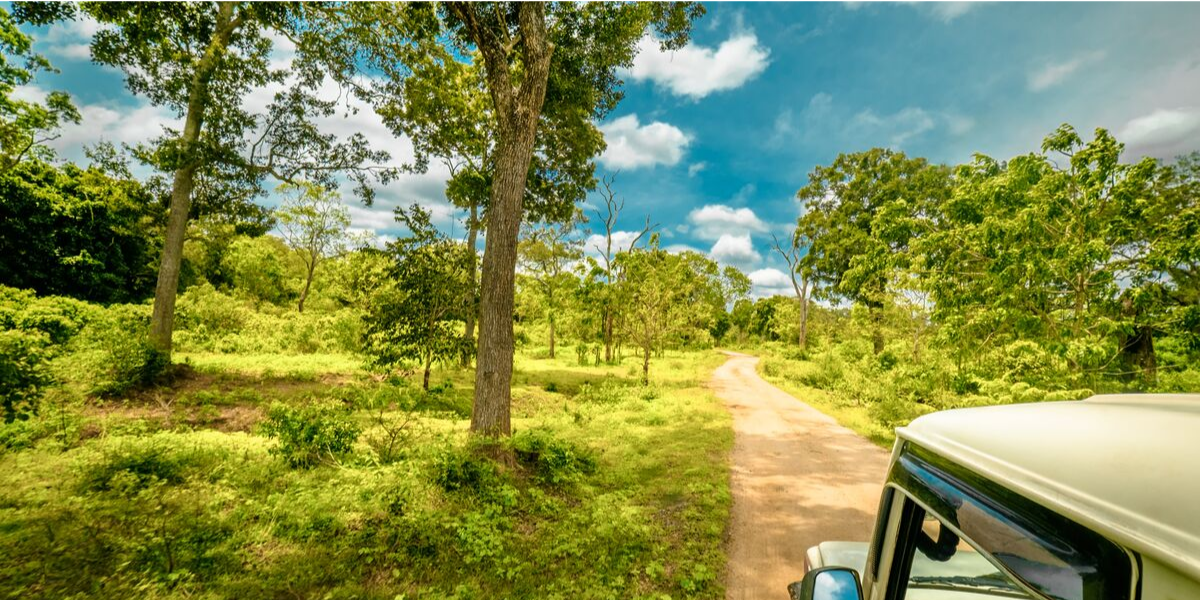 Safari 4x4 dans le Parc national d'Udawalawe