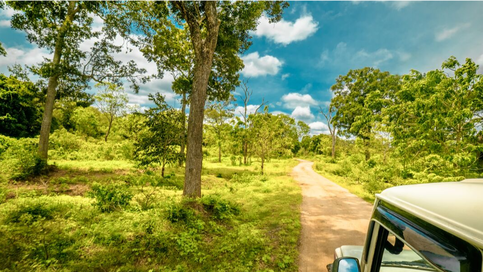 Safari 4x4 dans le Parc national d'Udawalawe