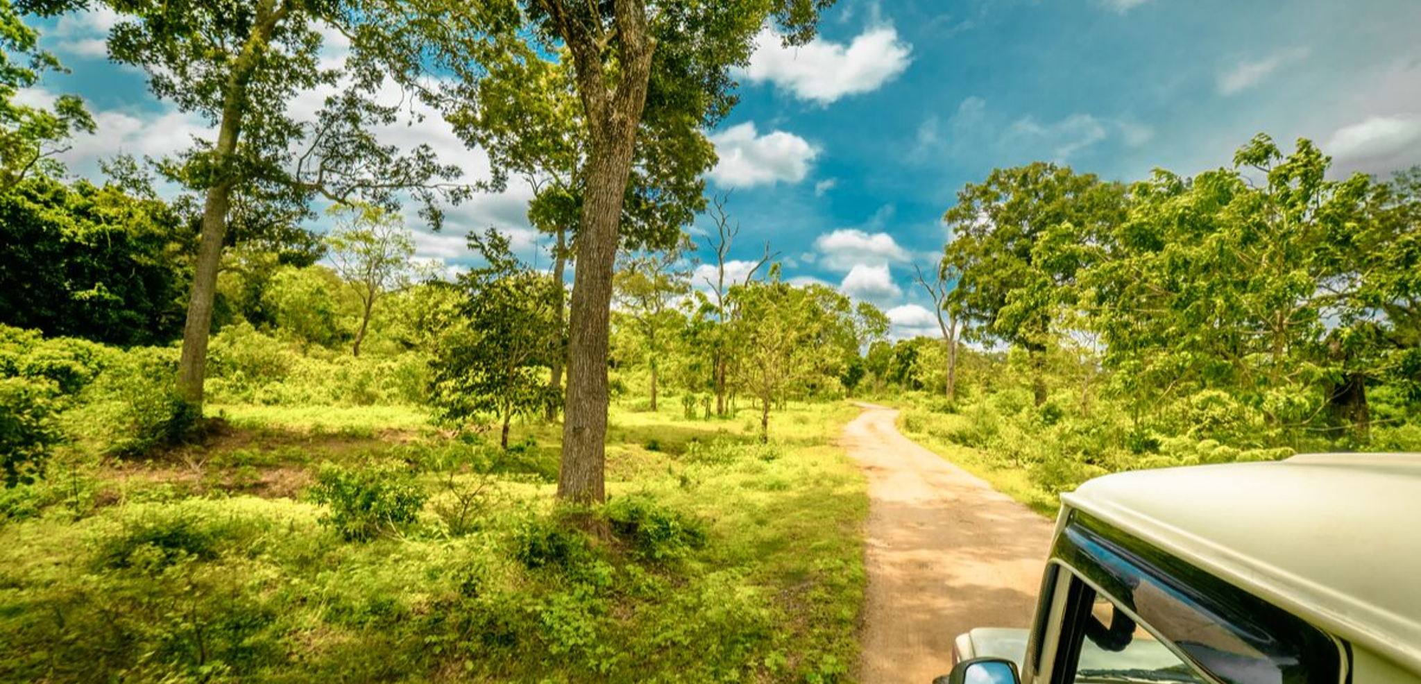 Safari 4x4 dans le Parc national d'Udawalawe
