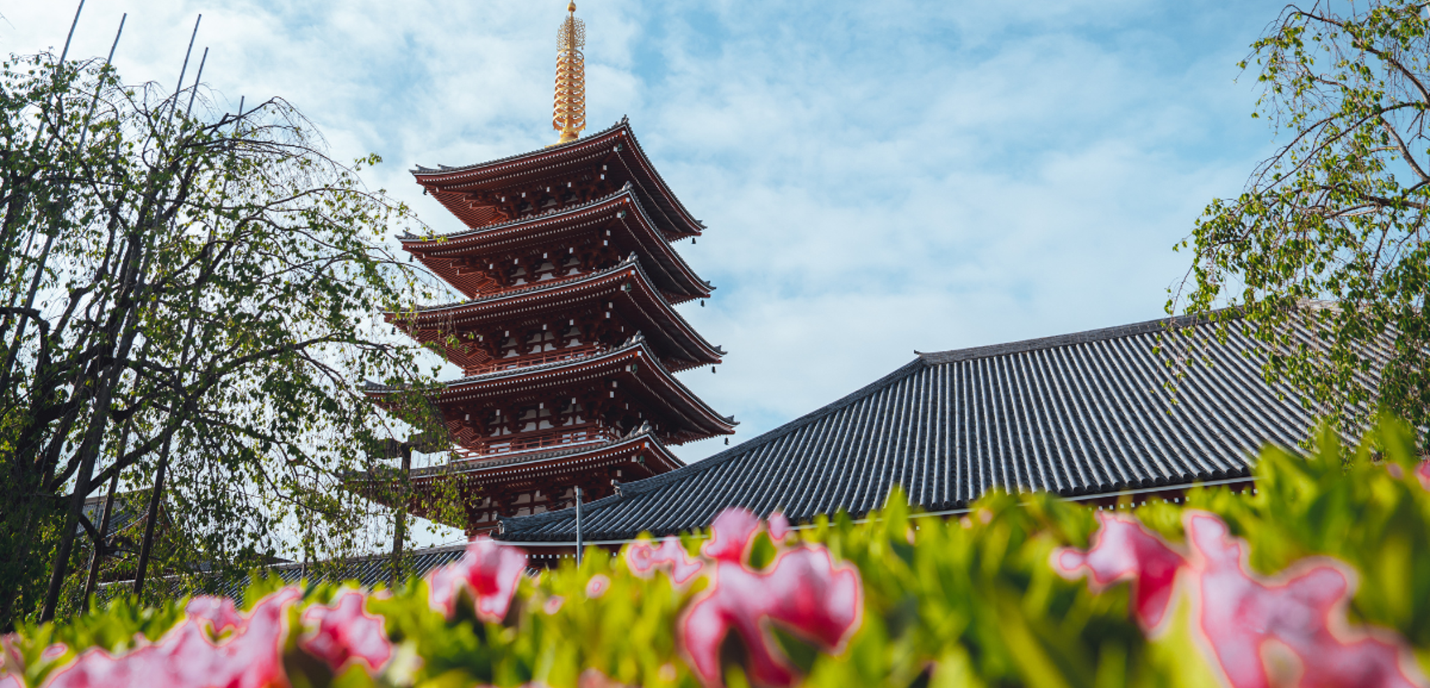 Bienvenue au Japon !