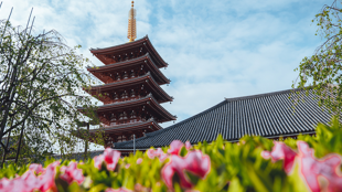 Bienvenue au Japon !