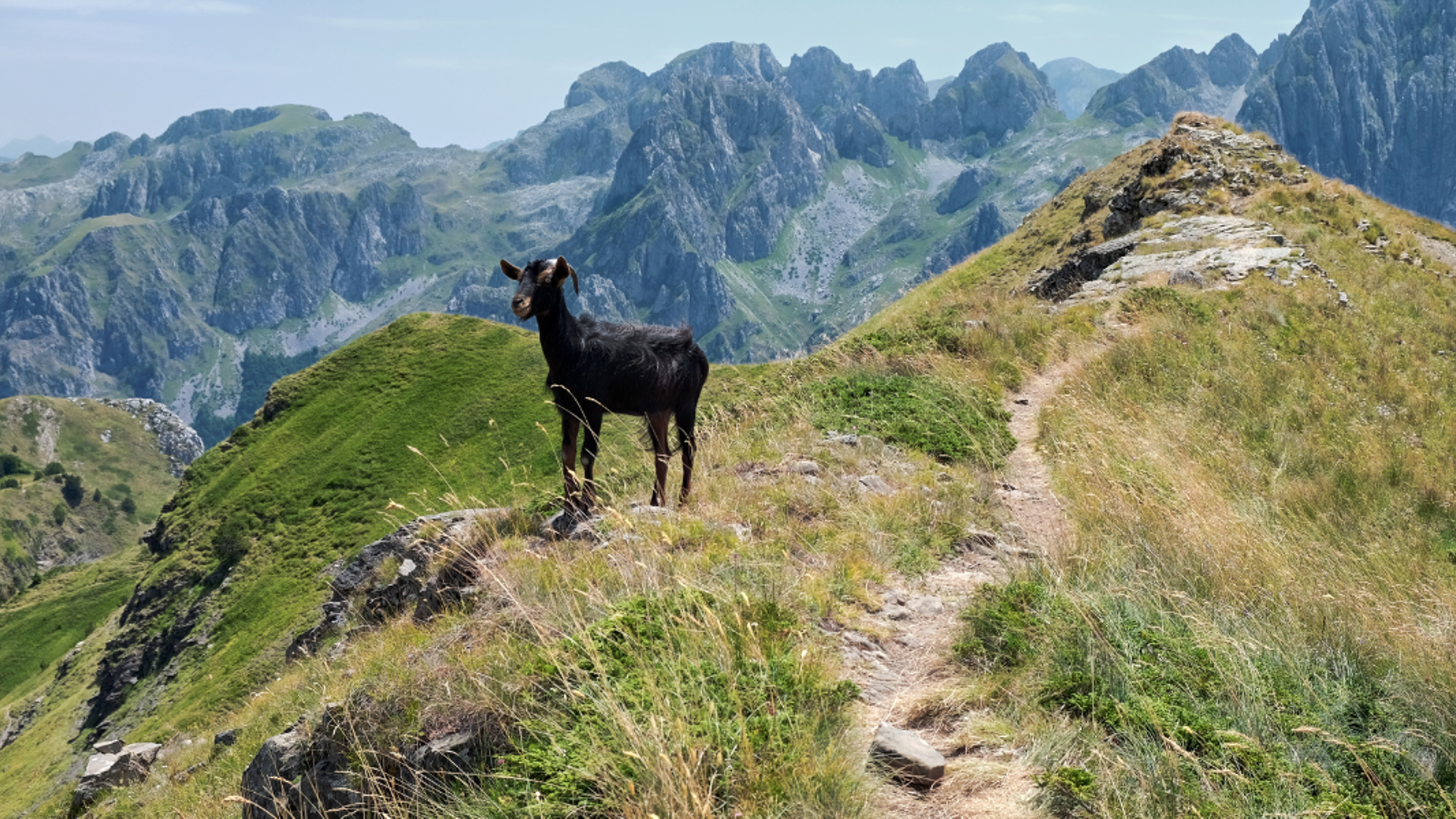 Une immersion dans la beauté sauvage des Balkans et de sa faune - jours 2 à 7