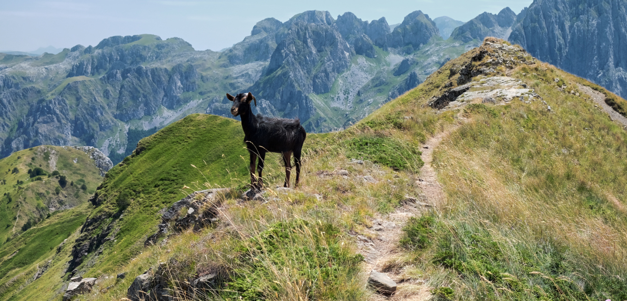 Une immersion dans la beauté sauvage des Balkans et de sa faune - jours 2 à 7