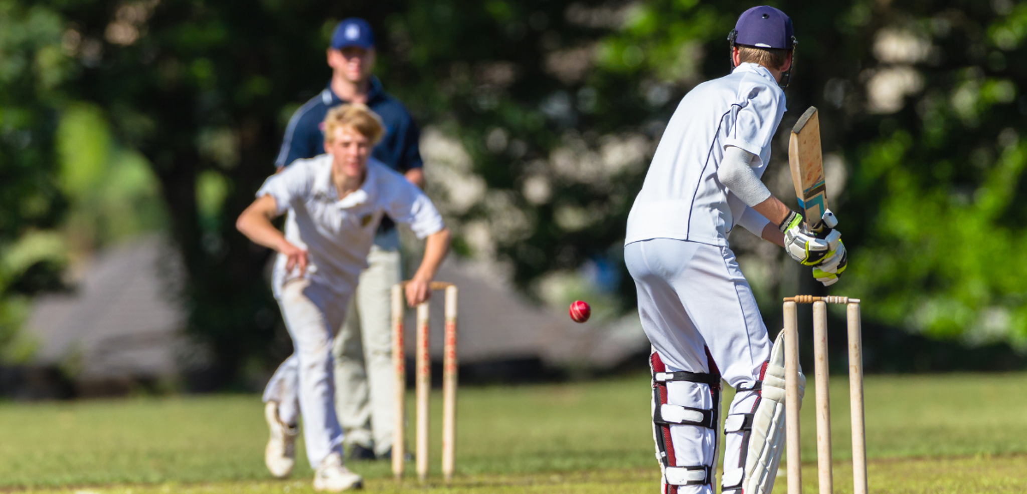 Presque comme des pros !