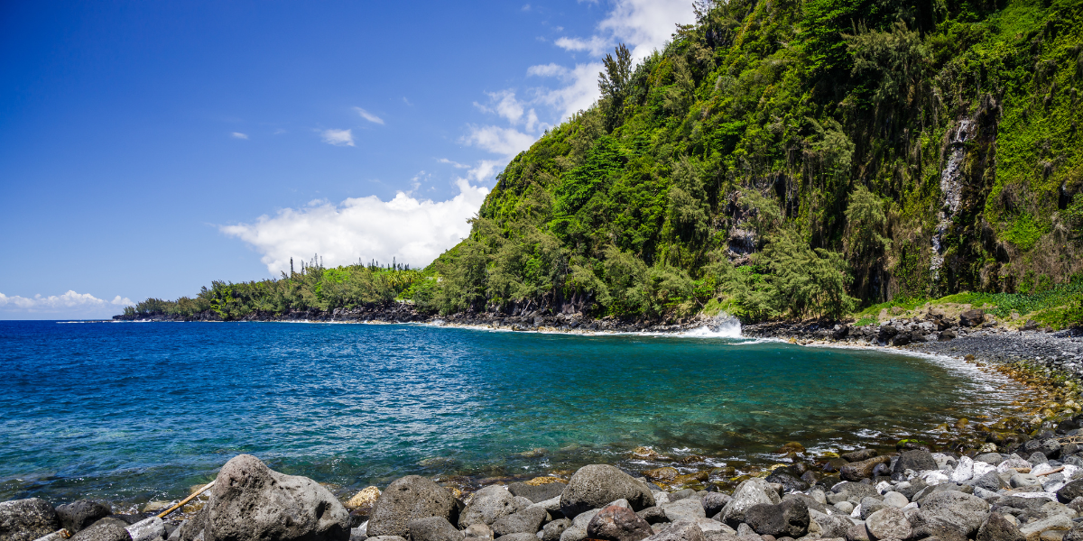 La beauté brute du Sud sauvage 