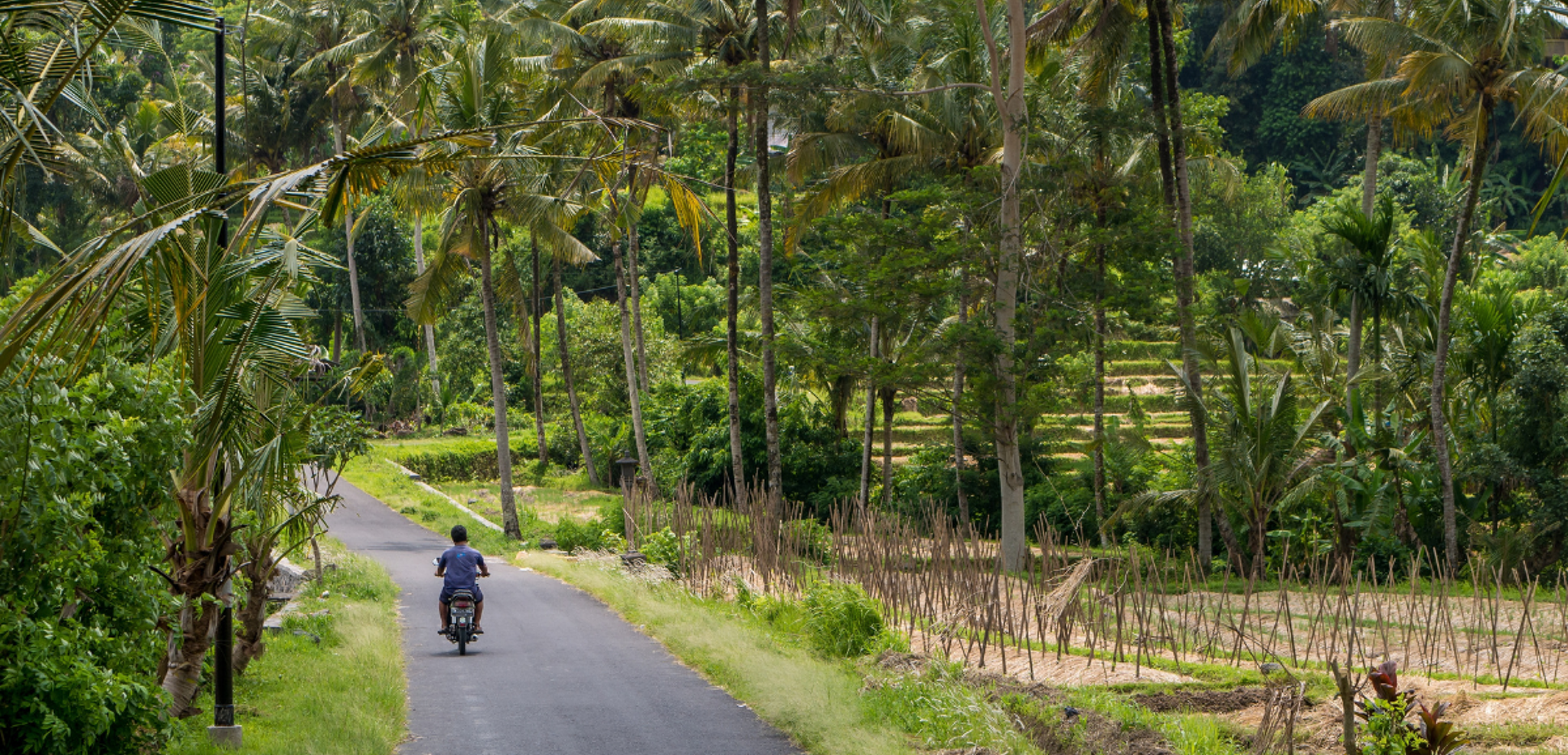 Munduk, dans les hauteurs balinaises