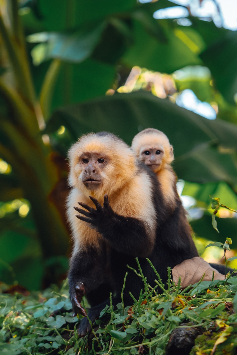 Nicaragua ©Maxime Moreau 