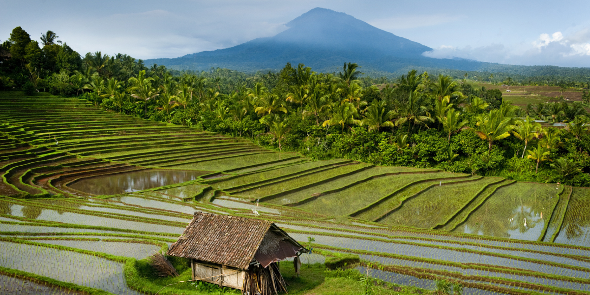 Belimbing, Bali, Indonesia 