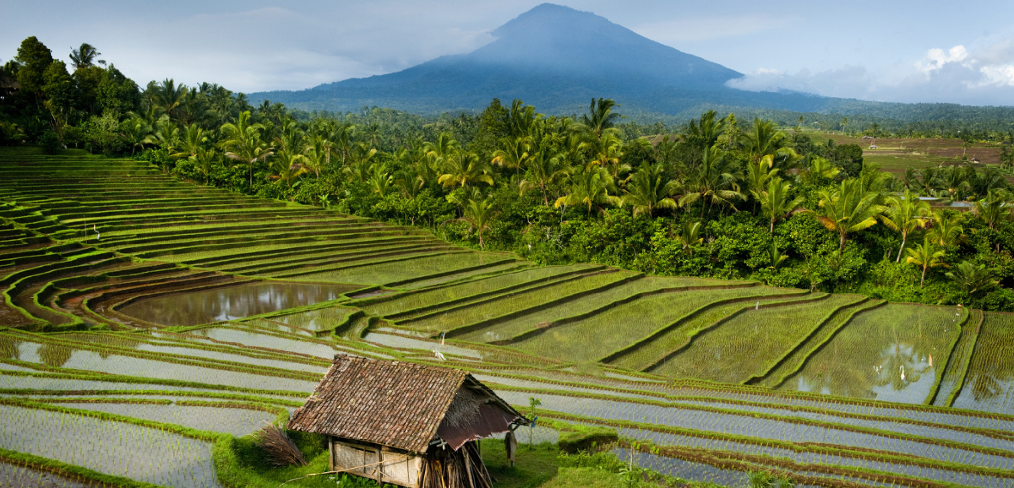 Belimbing, Bali, Indonesia