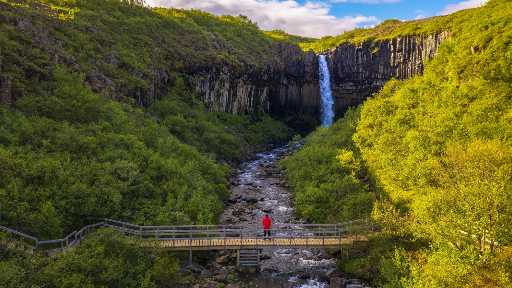 C'est reparti pour de belles découvertes !