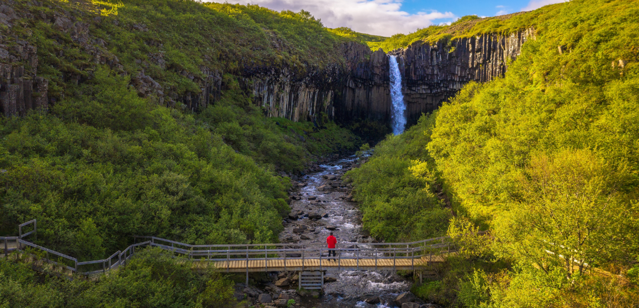 C'est reparti pour de belles découvertes !