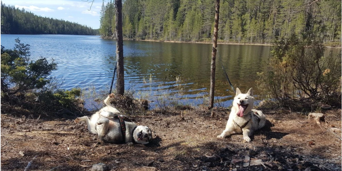 En bonne compagnie !