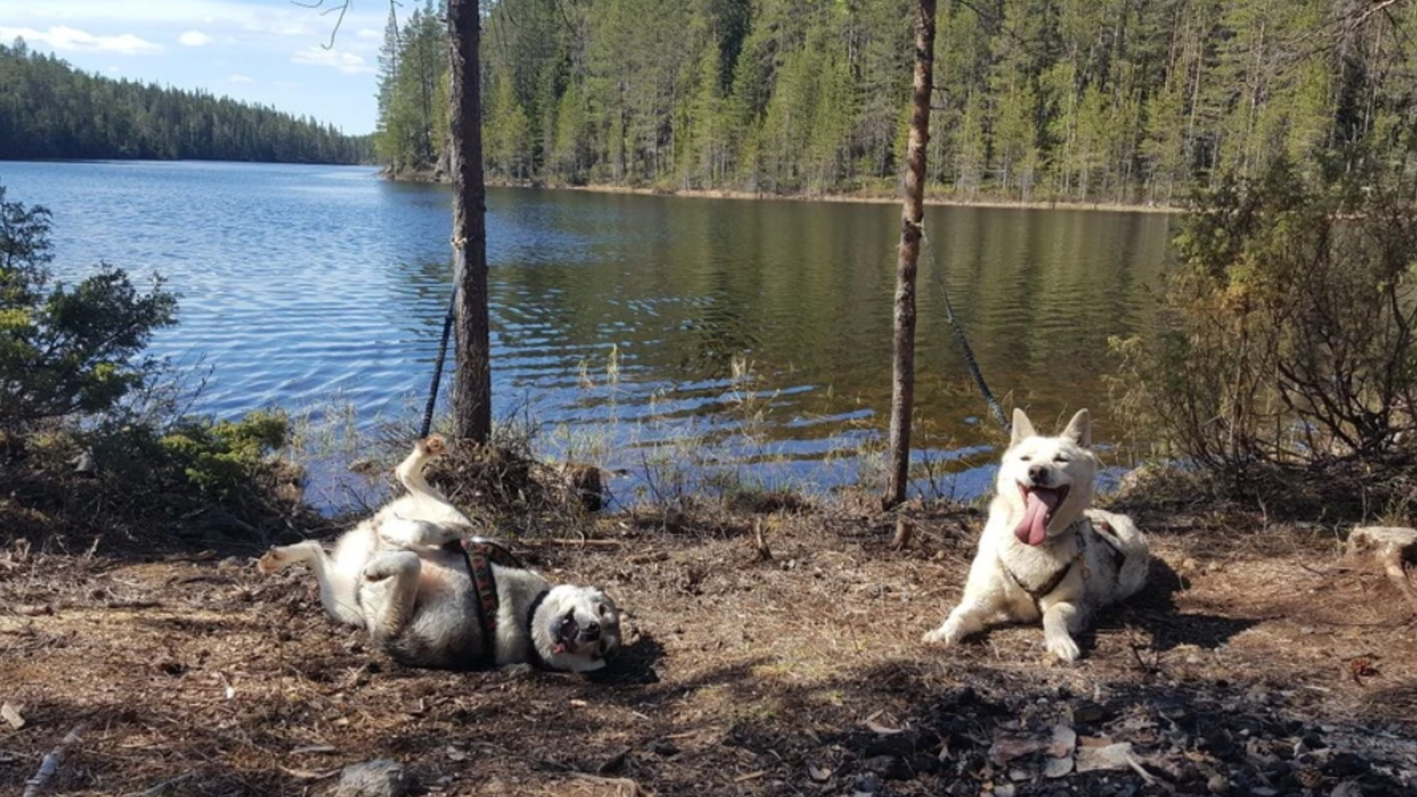 En bonne compagnie !