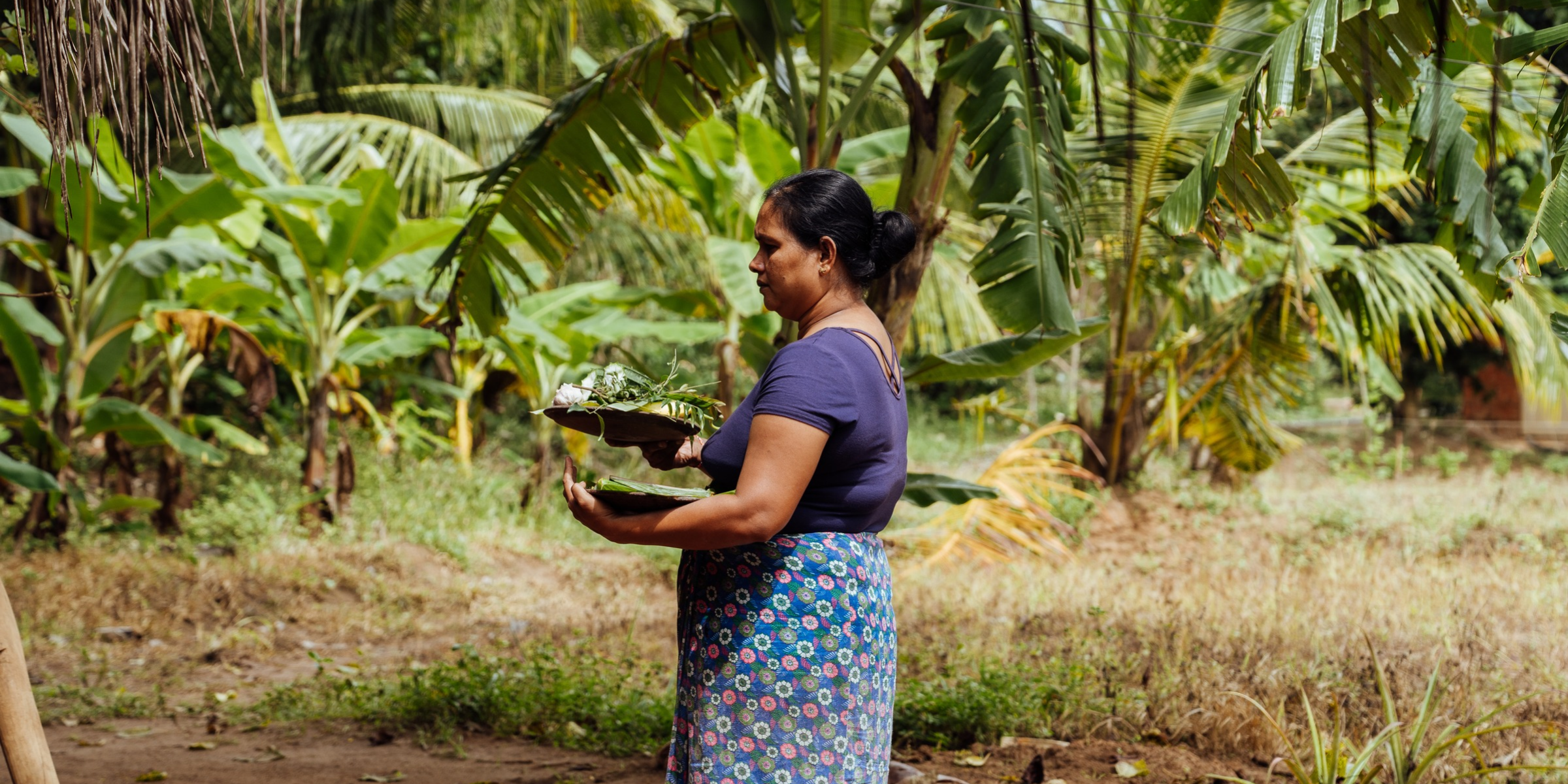 Sri Lanka ©Maxime Moreau 