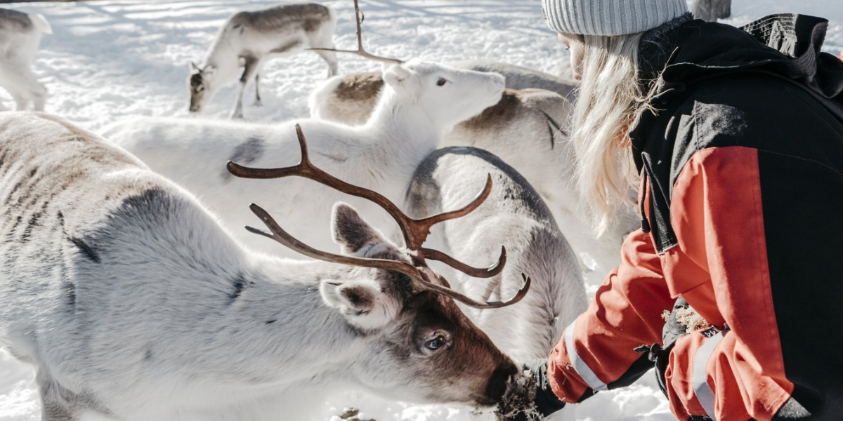 Rendez-vous dans une ferme de rennes 