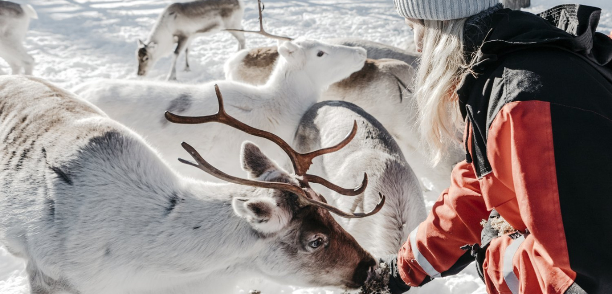 Rendez-vous dans une ferme de rennes