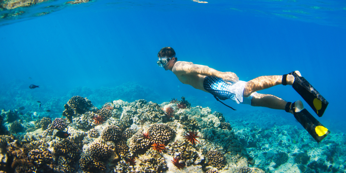 En mode snorkeling dans les eaux turquoise des San Blas - jours 2 à 7 