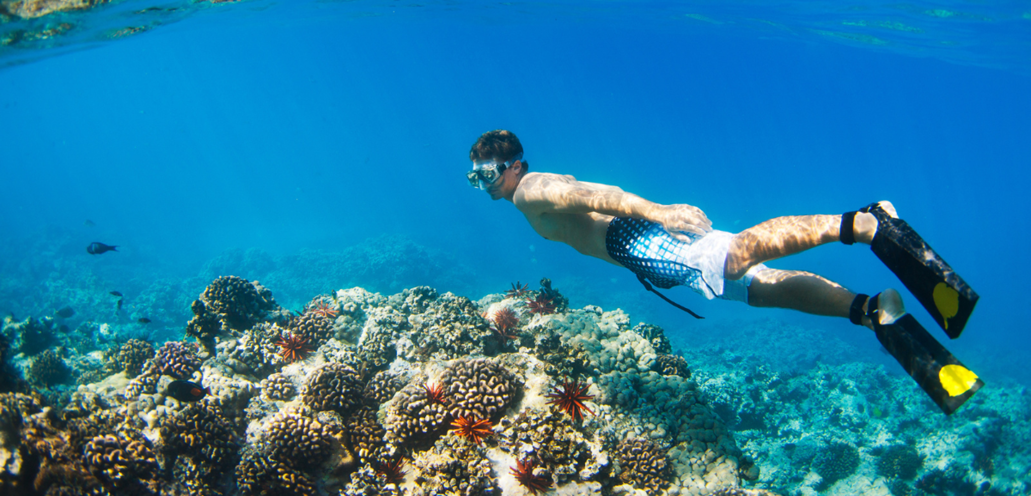 En mode snorkeling dans les eaux turquoise des San Blas - jours 2 à 7