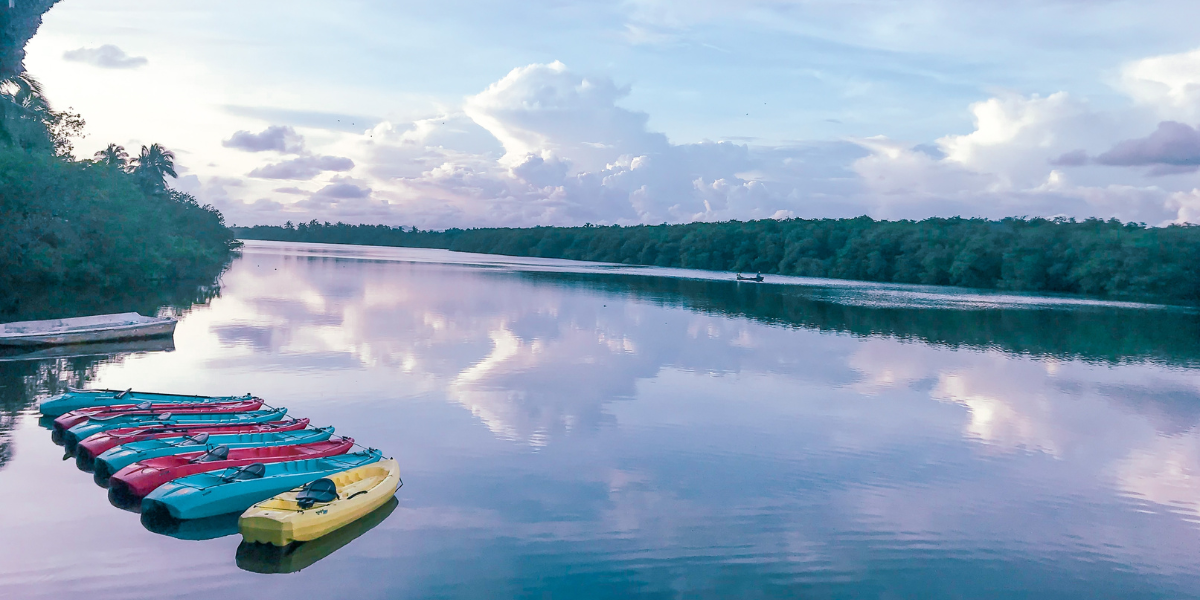Kayak à Punta Laguna