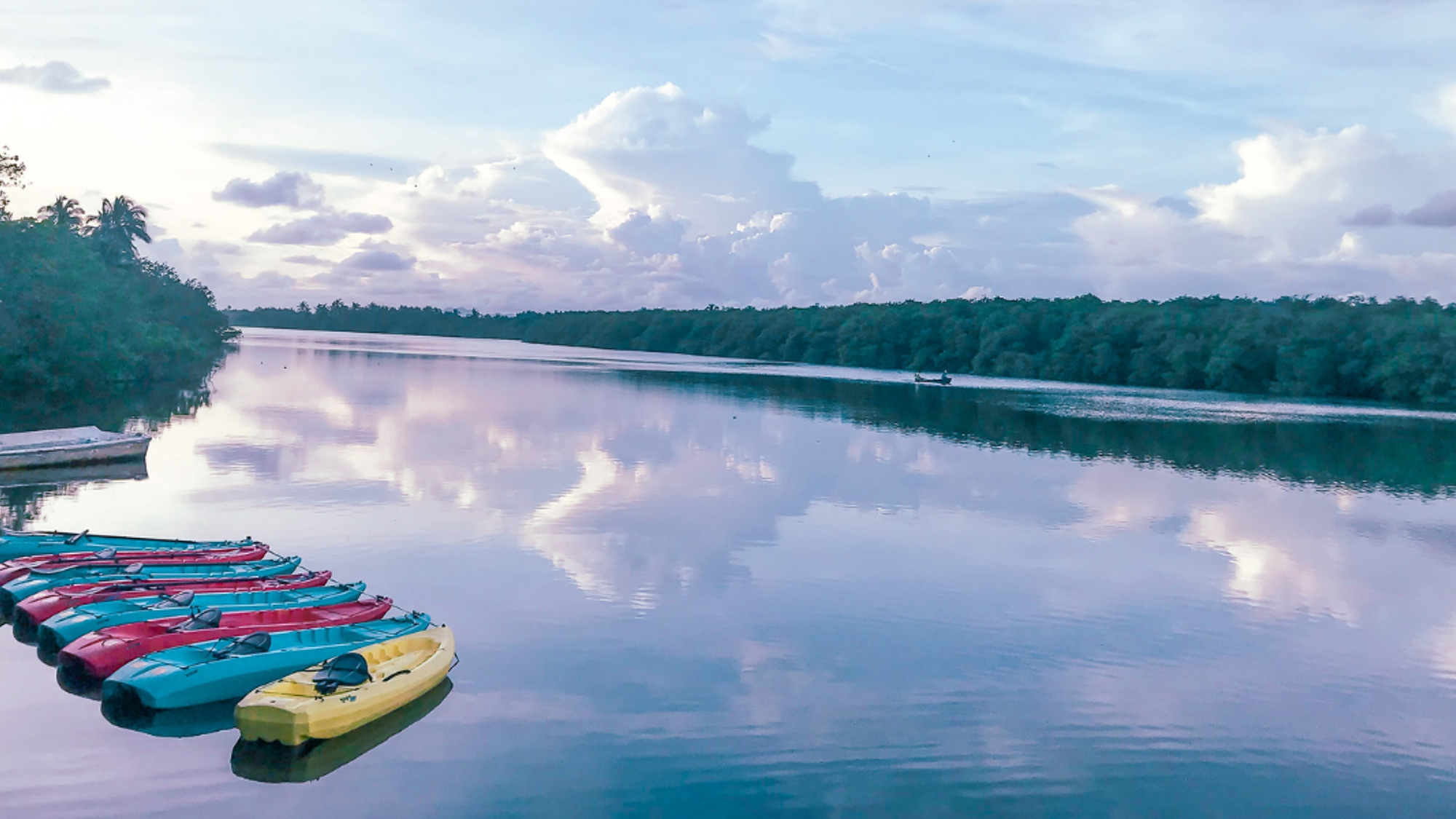 Kayak à Punta Laguna
