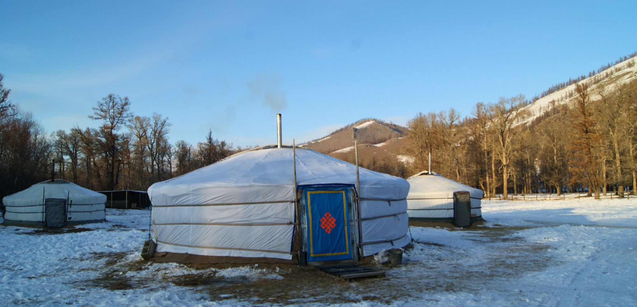 Campement de yourtes